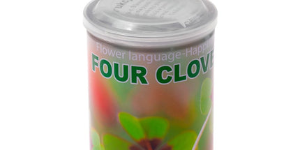 4 peresna deteljica za srečo v okrasni pločevinki - zaprta embalaža