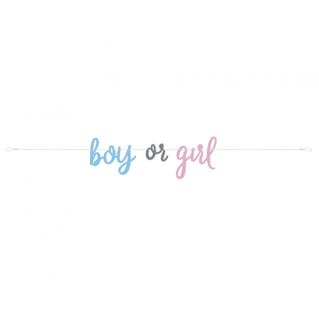 Viseč napis Boy or Girl, 213cm