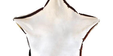 Balon folija - Zvezda, srebrna barva, 23 cm