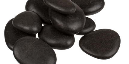 Wellness came to the world